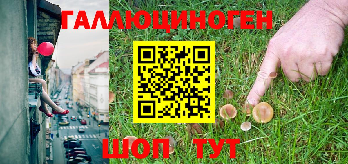 Коммунар  магазин продажи наркотиков  Вход с VPN  Псилоцибиновые грибы Cubensis  Галлюциногенные грибы Cubensis 