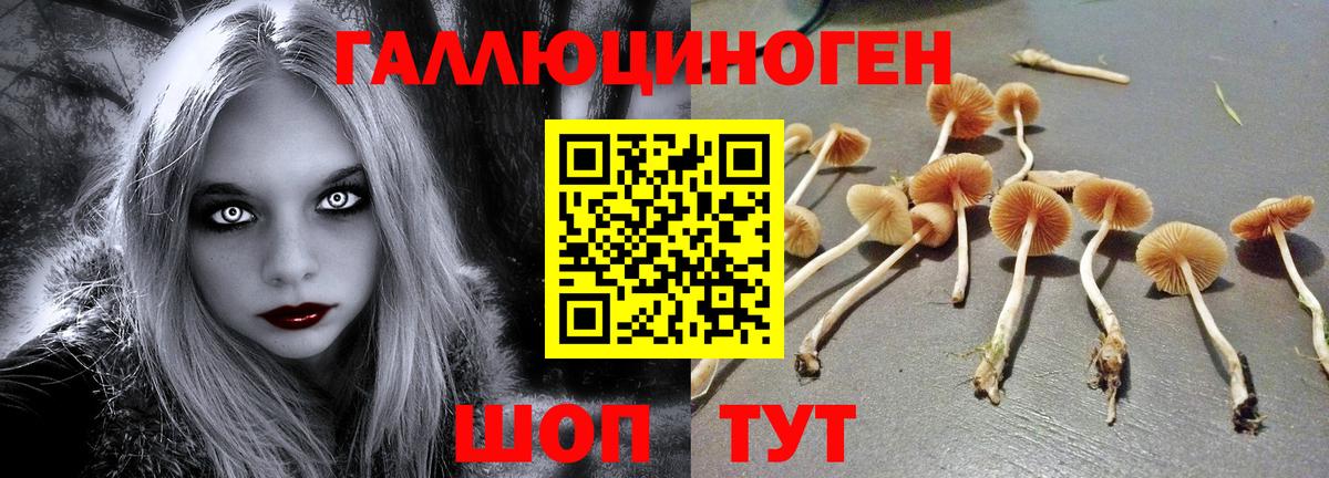 Псилоцибиновые грибы мухоморы Коммунар